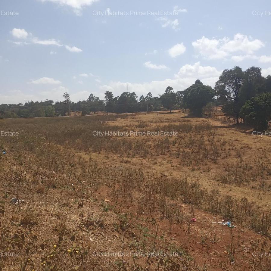 6.5 ac Land in Limuru - 3