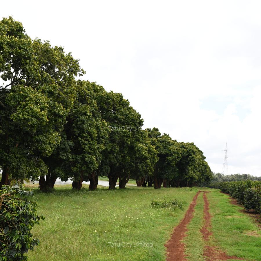 Land in Juja - 5