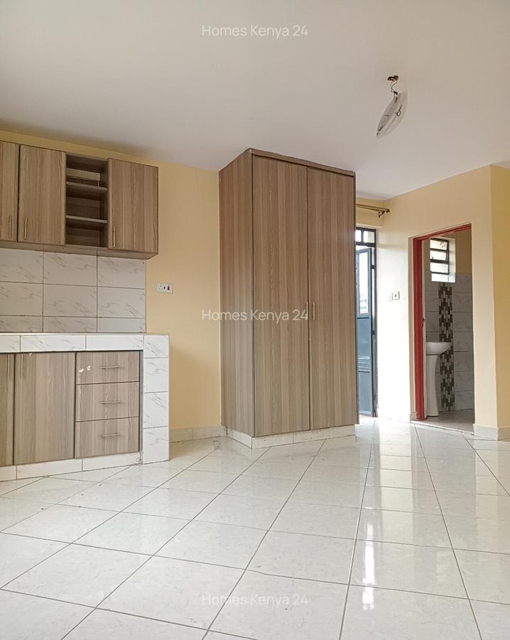 Studio Apartment in Ruaka - 2
