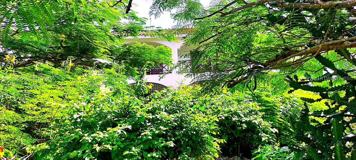 4 Bed House with En Suite at Kuruwitu Beach - 11