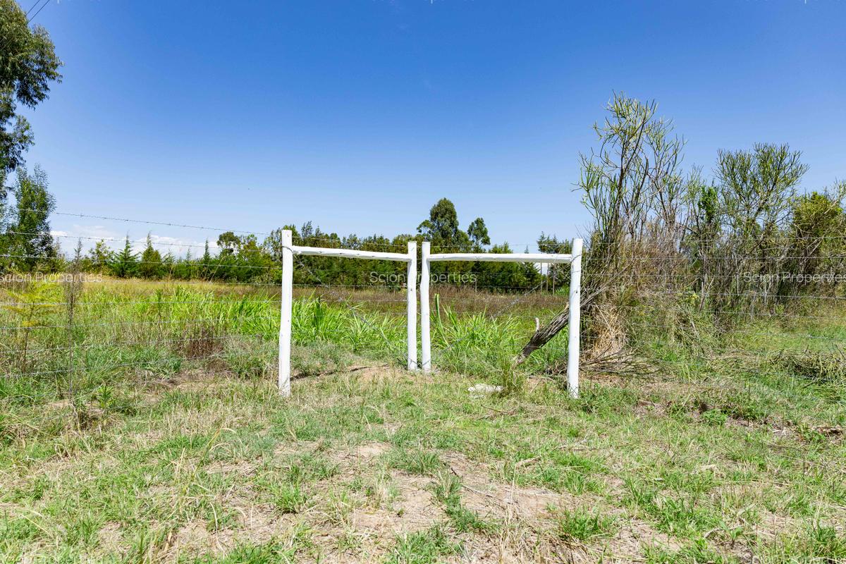 0.125 ac Residential Land in Nanyuki - 7