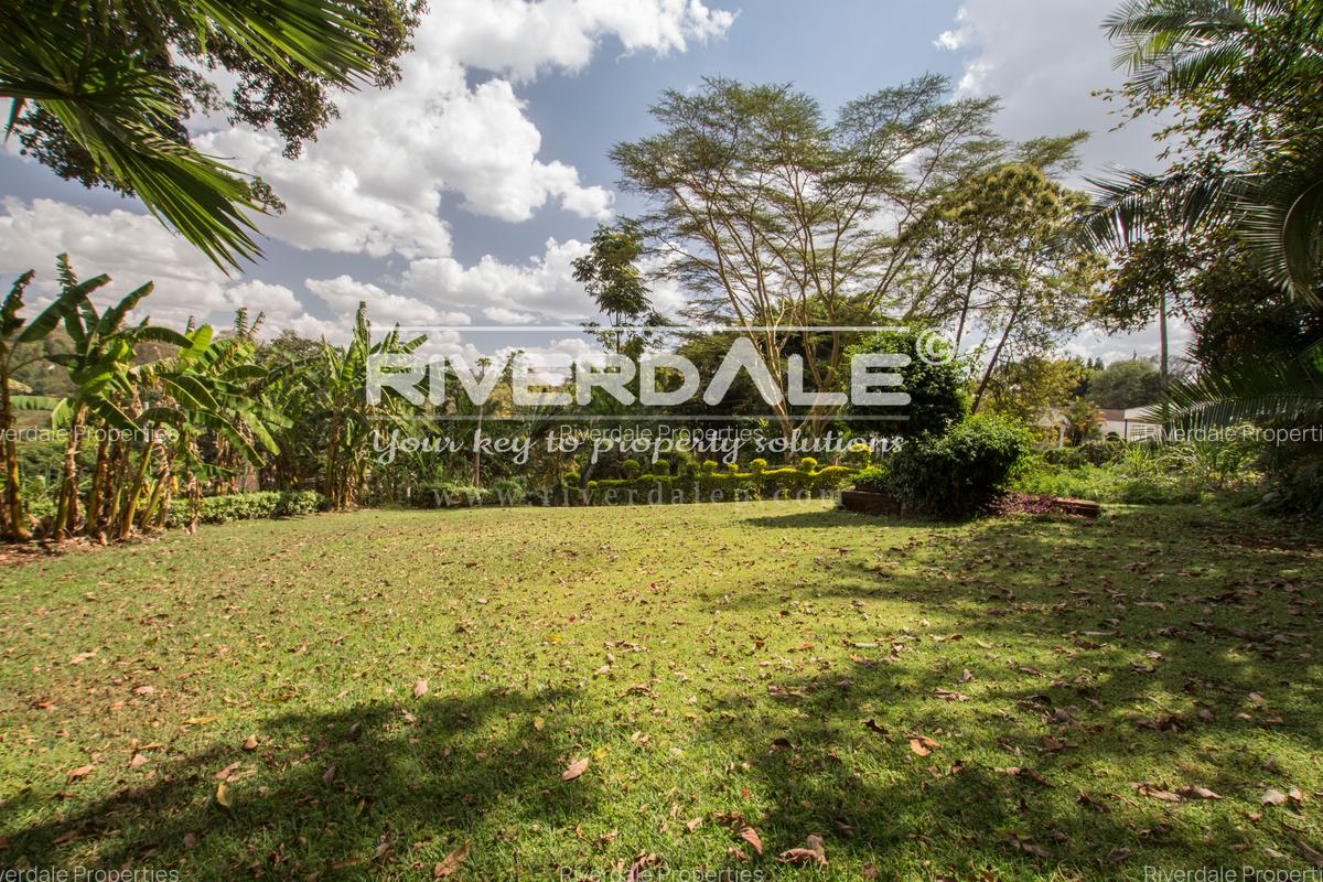 0.6 ac Commercial Property with Parking in Lavington - 19