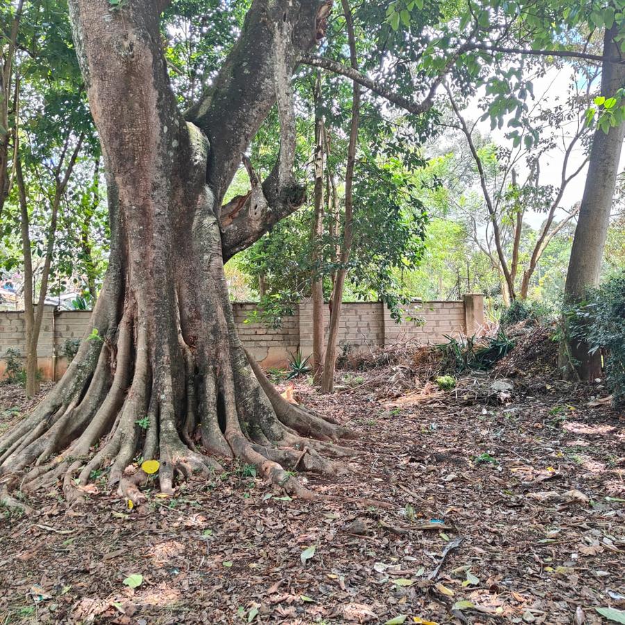 1 ac Land at Thigiri Ridge - 1