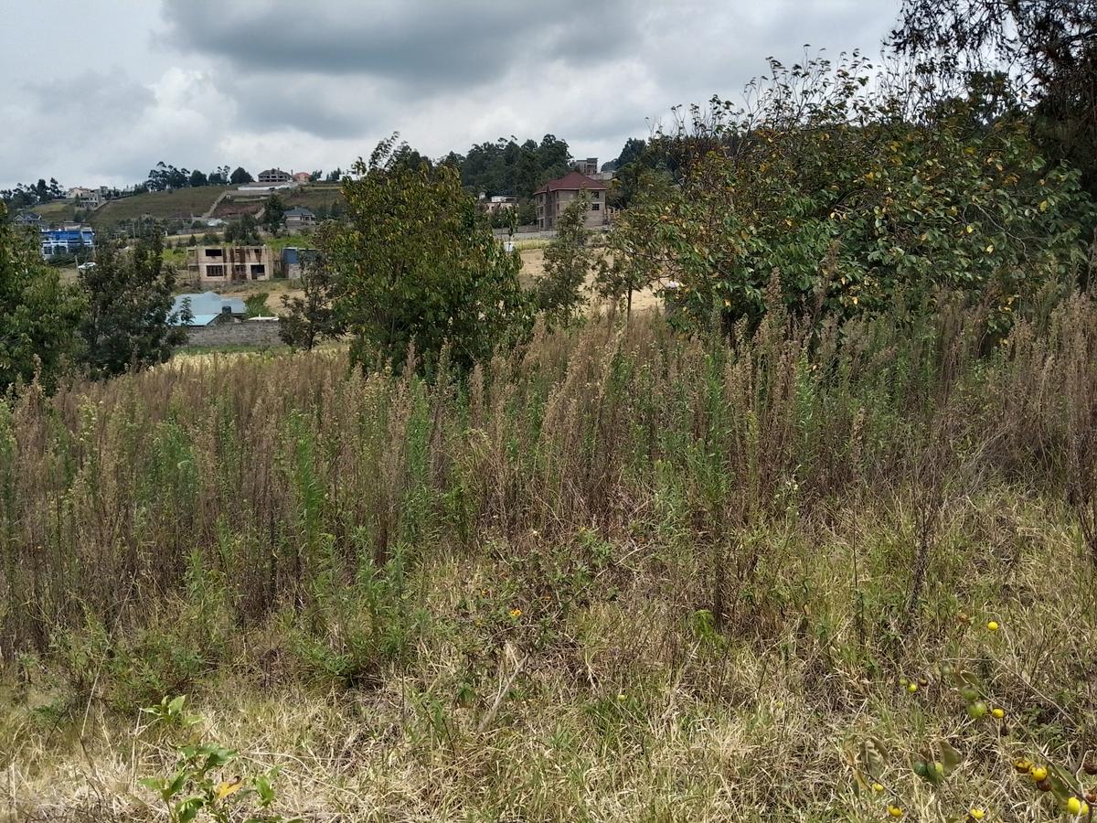 residential land at kibiko