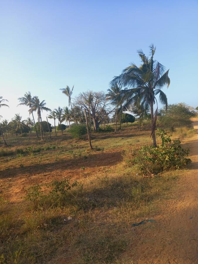 Land at Mavueni Kaloleni Road - 6