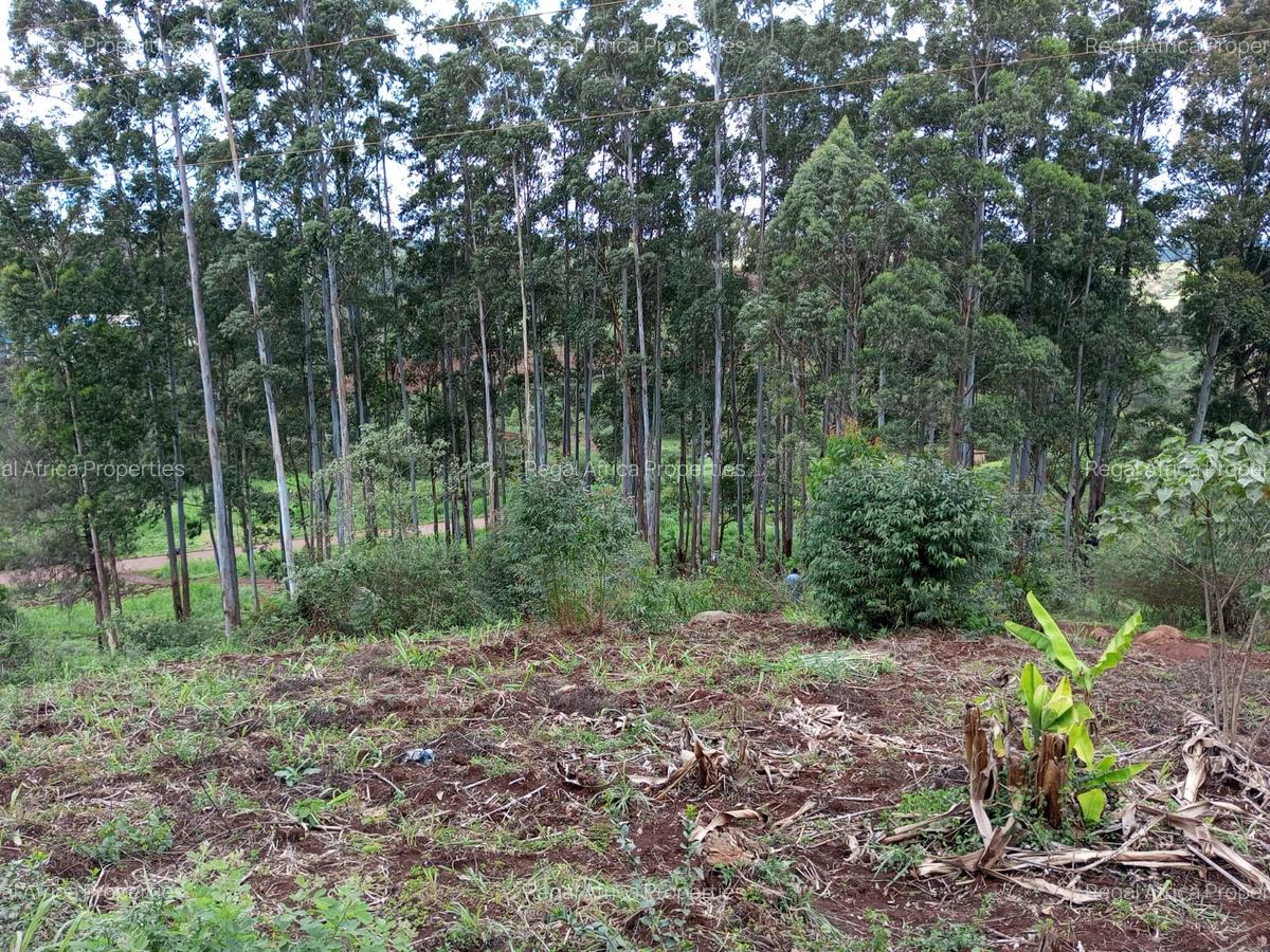 15 ac Land in Tigoni - 7