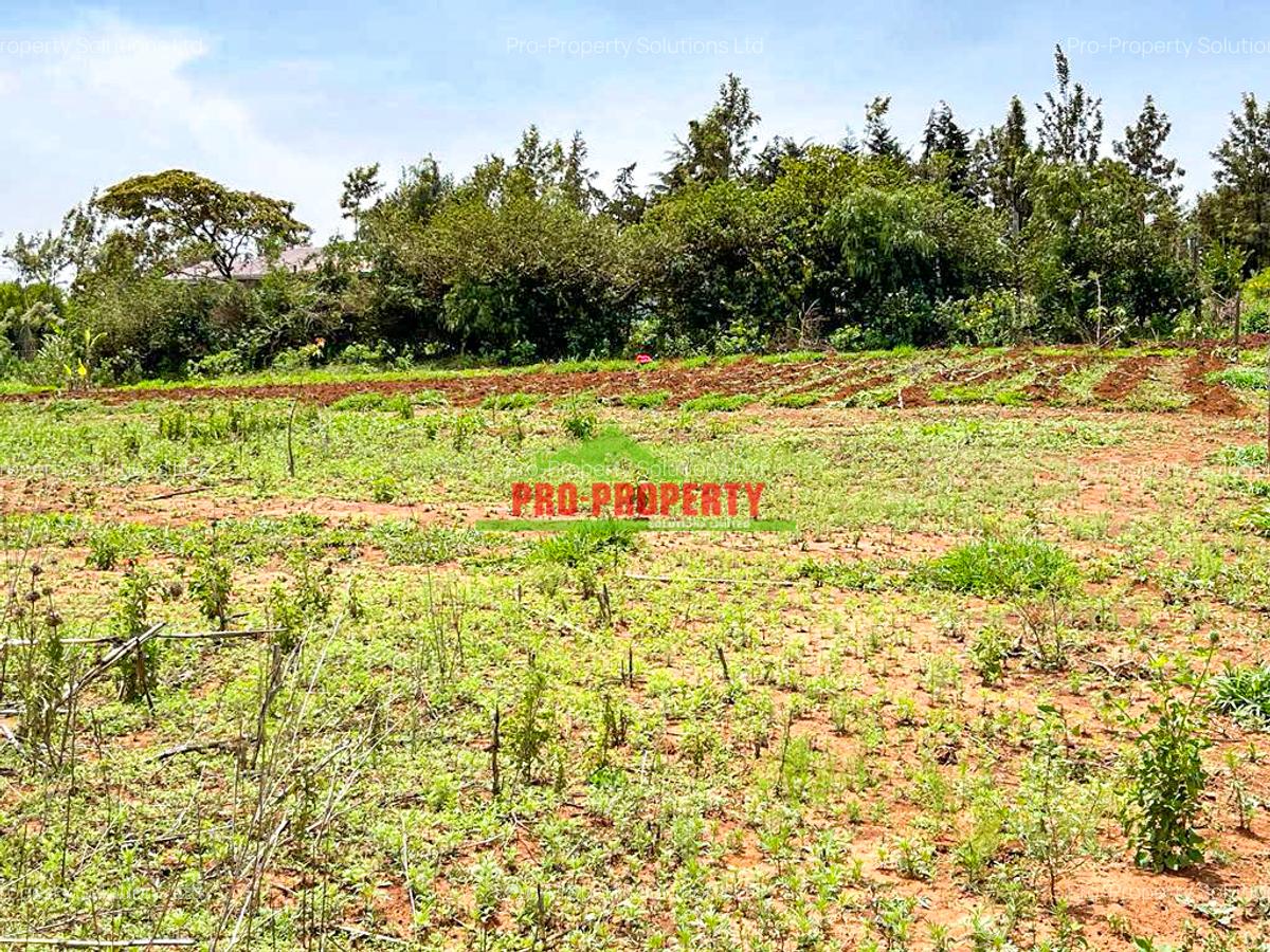 0.05 ha Residential Land at Kamangu - 6