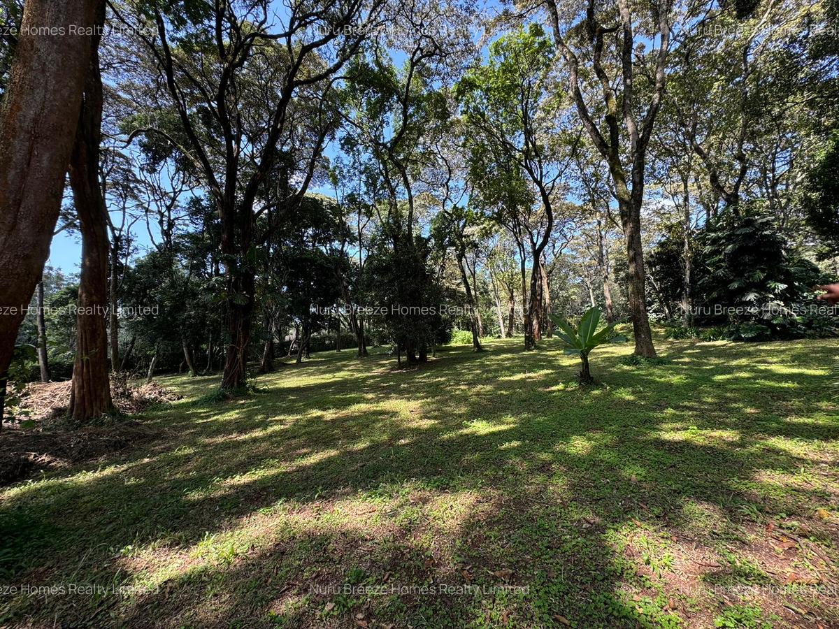 1 ac Land in Karen - 10