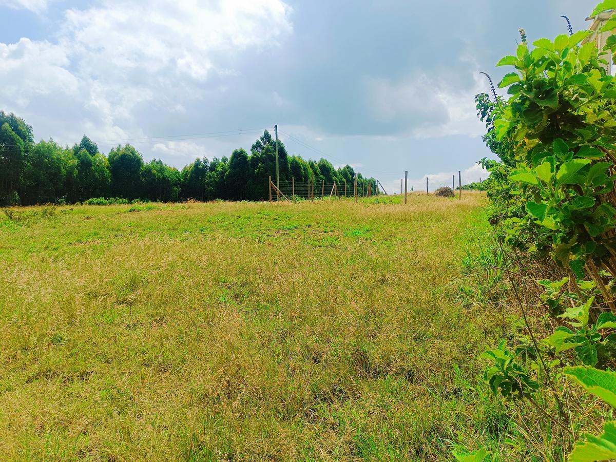 500 m² Residential Land at Thigio - 8