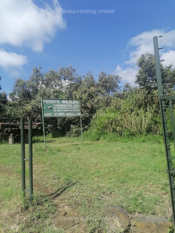 Commercial Land in Naivasha - 15