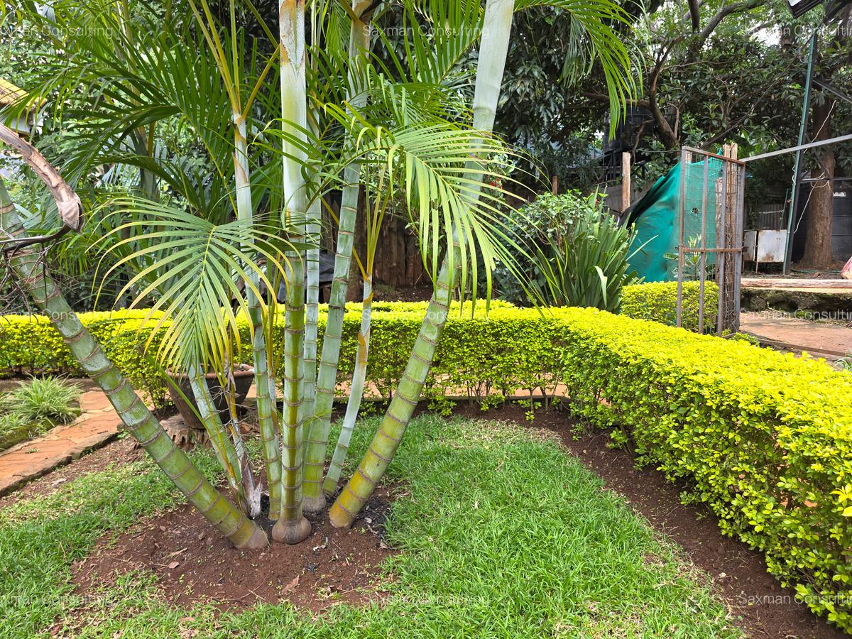 Land in Dennis Pritt - 4
