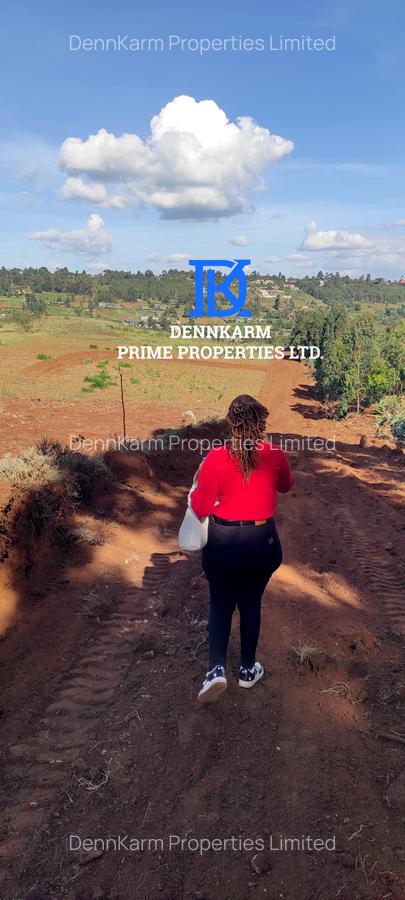 0.05 ha Residential Land at Thigio - 13