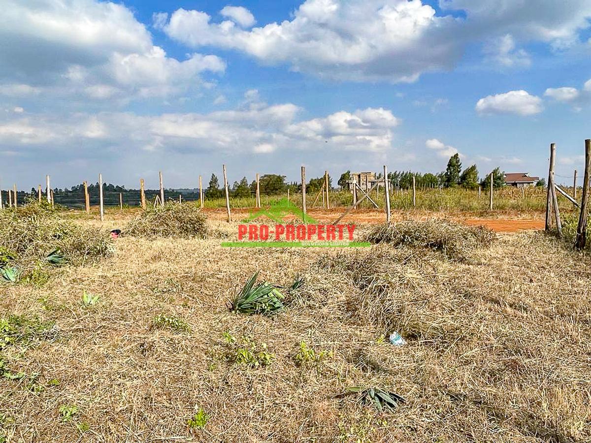 0.125 ac Residential Land at Lusigetti - 6