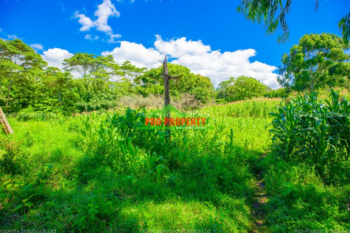0.2 ha Commercial Land in Ndeiya - 4