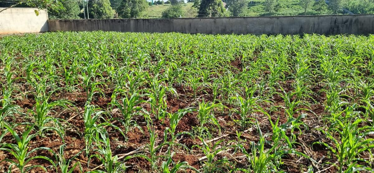 0.5 ac Land in Nyari - 2