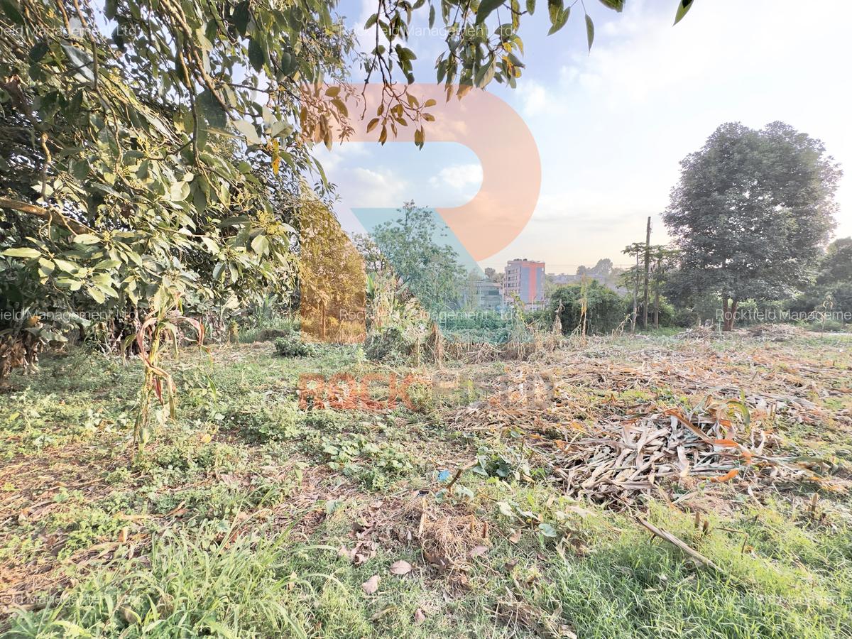 1.25 ac Land at White House Wangige - 3