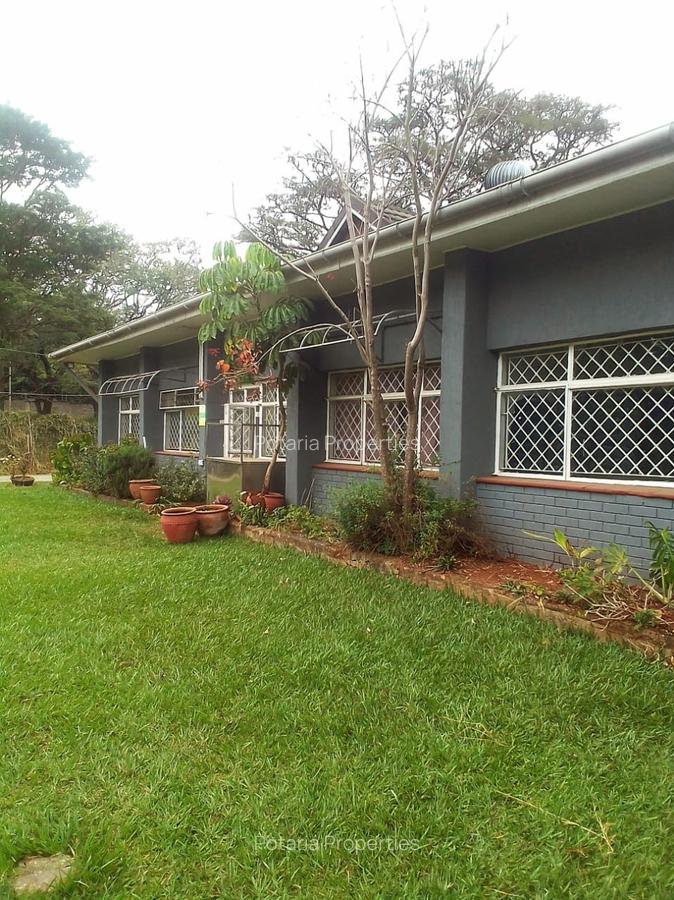 Commercial Property with Parking in Lavington - 1