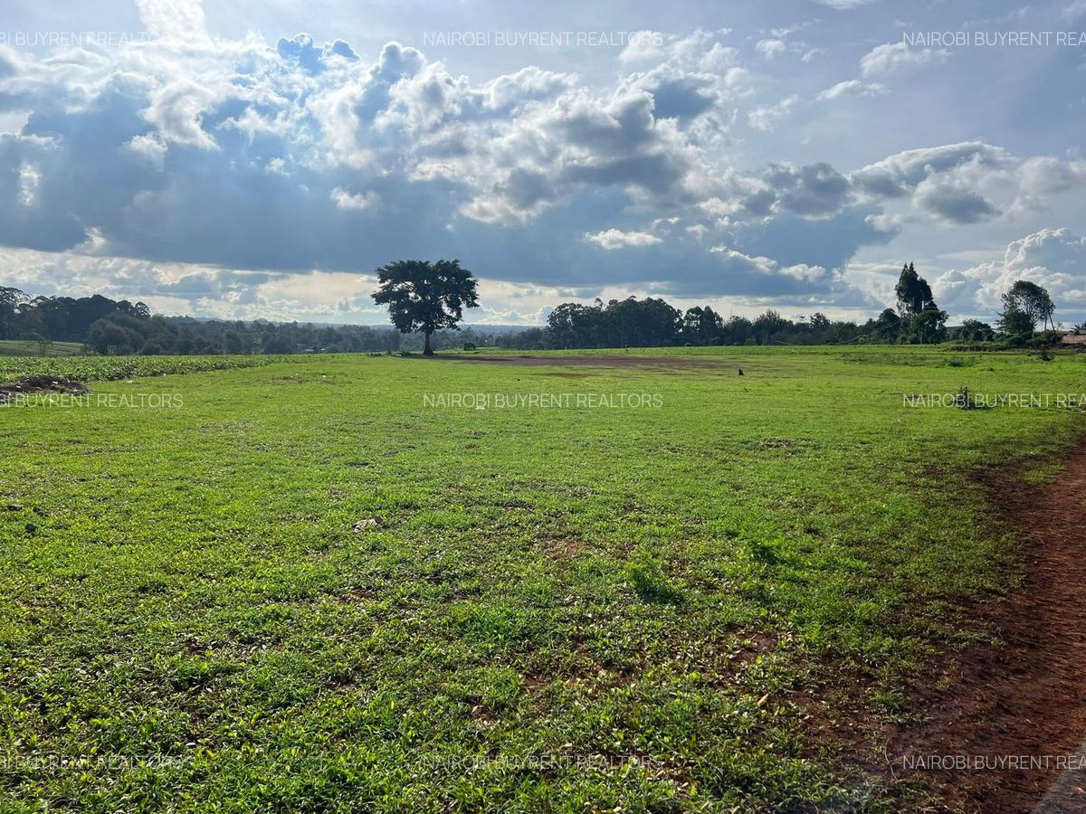 25 ac Land in Kitisuru - 4
