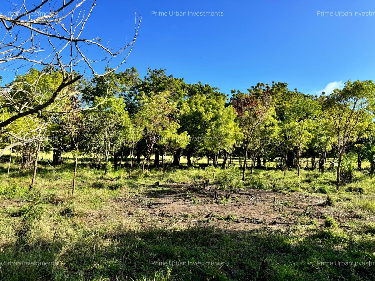Land in Vipingo - 8