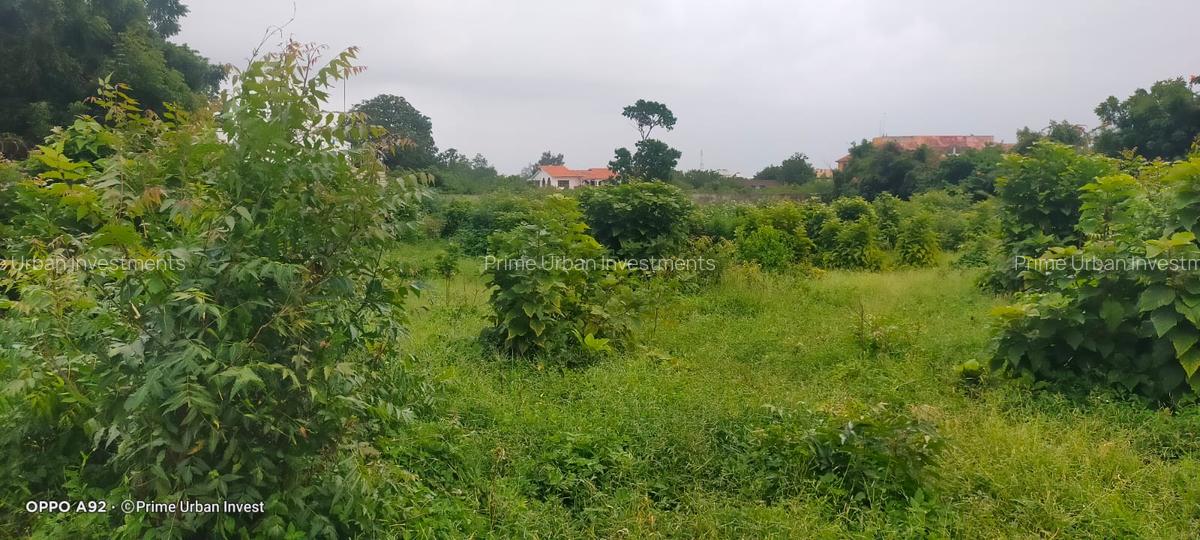 Land in Shanzu - 14