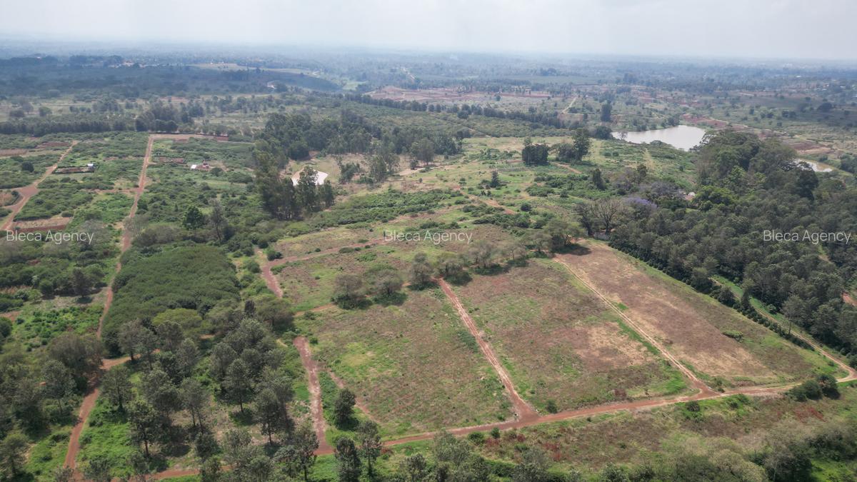 Commercial Land in Tatu City - 8