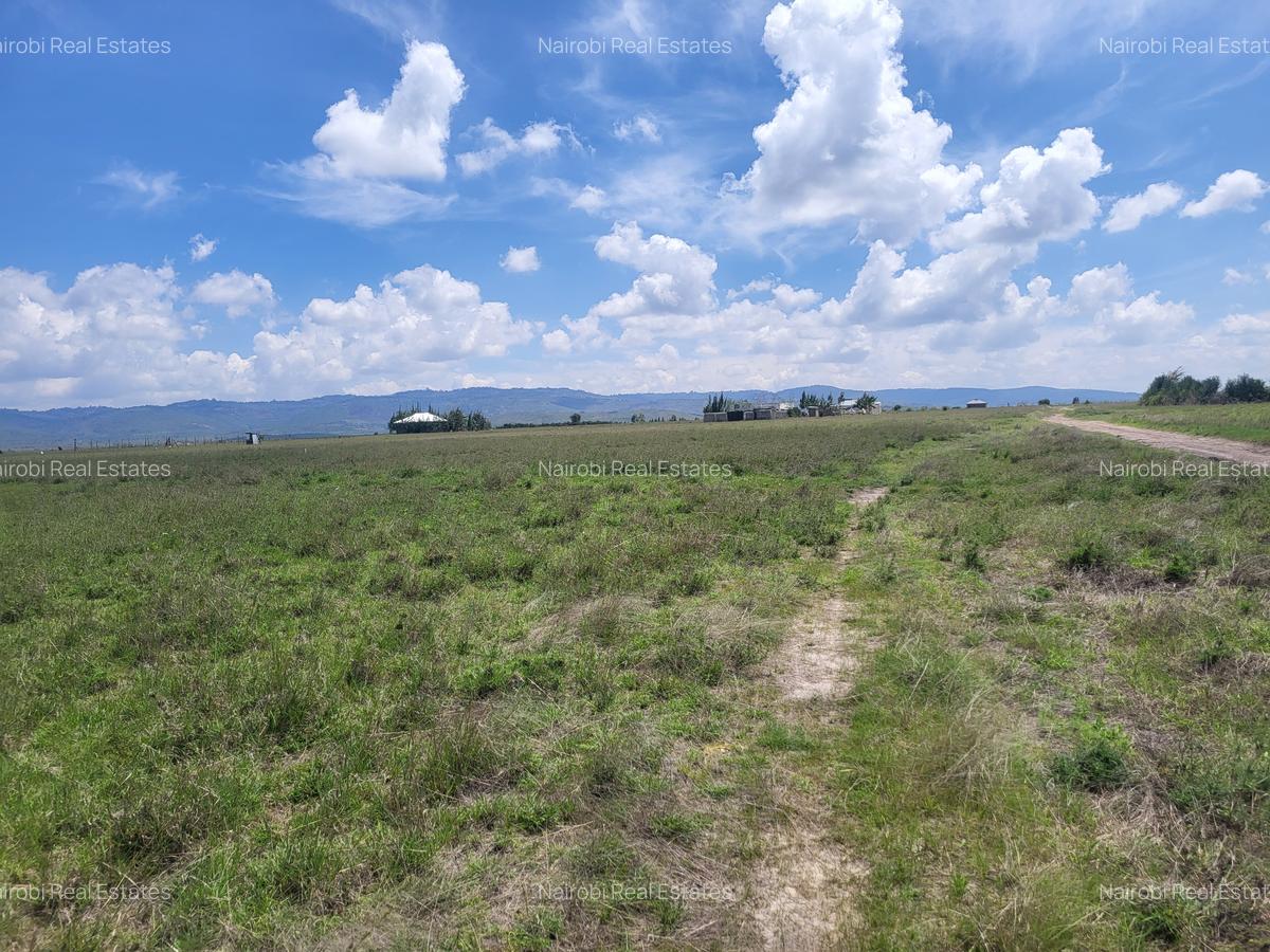 Land in Joska - 5
