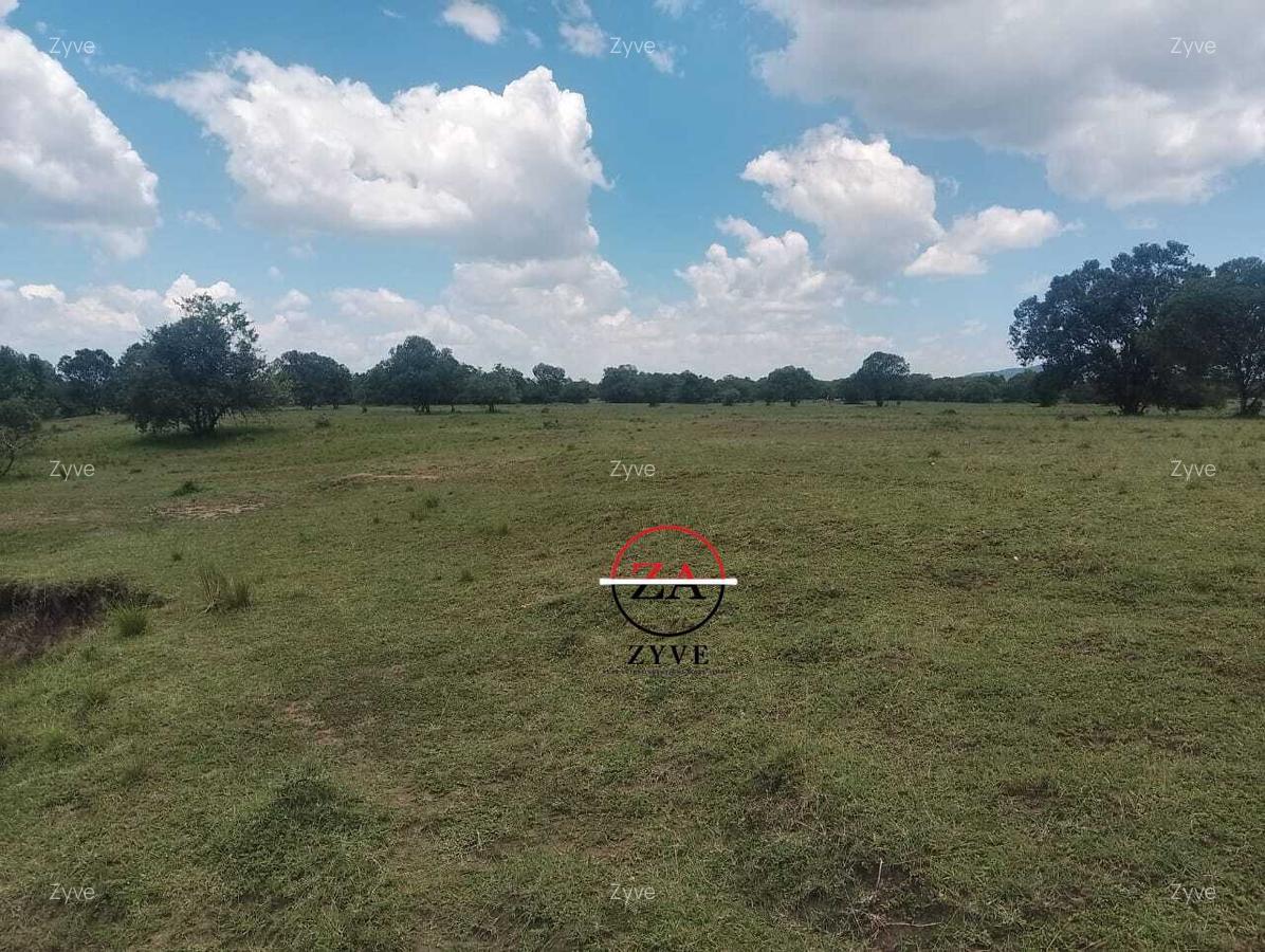 88 ac Land at Ol Choro Conservancy - 14