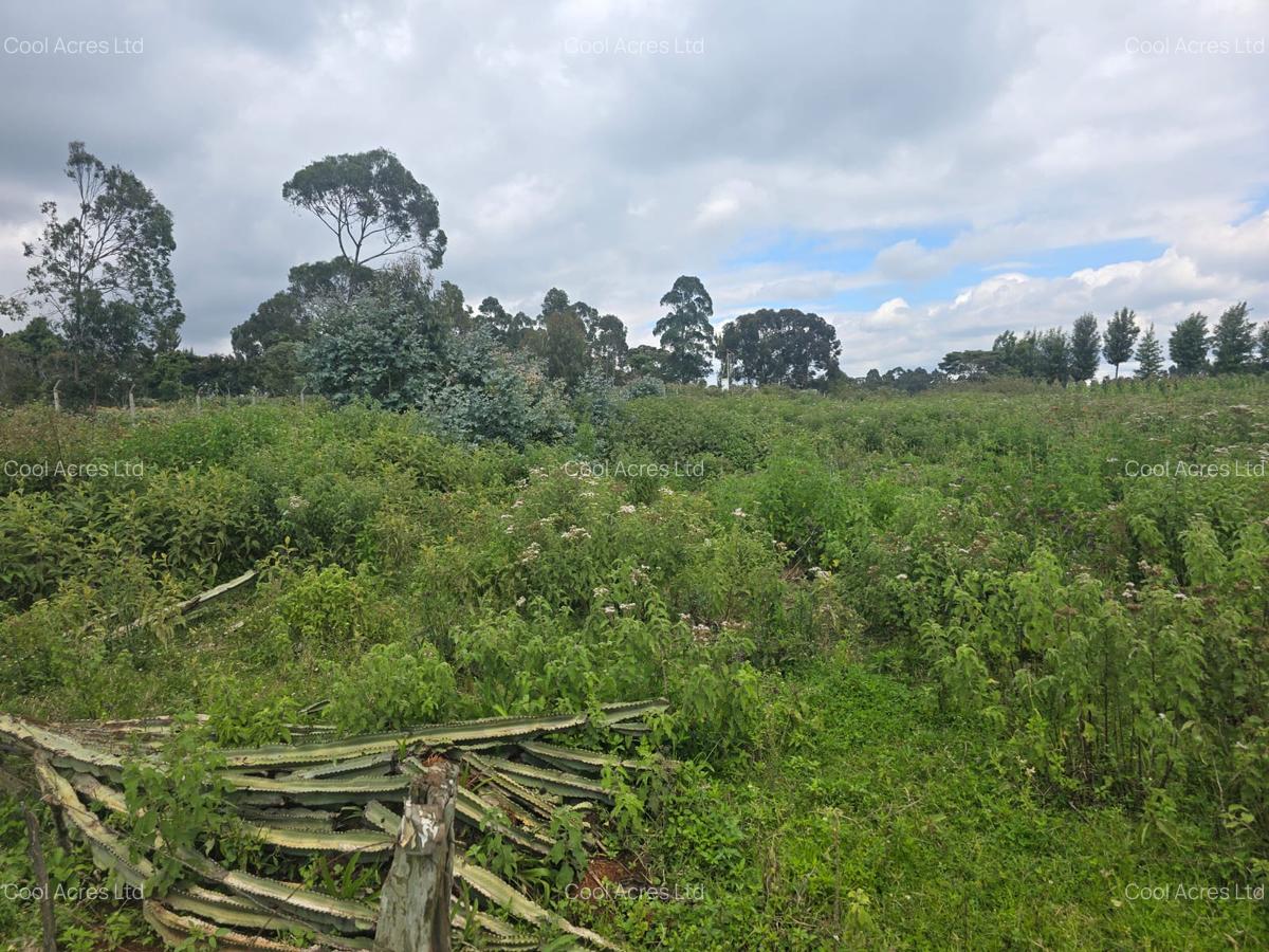 3 ac Land at Nderu Shopping Center - 3