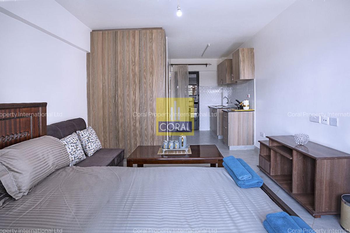 Studio Apartment in Ngara - 1