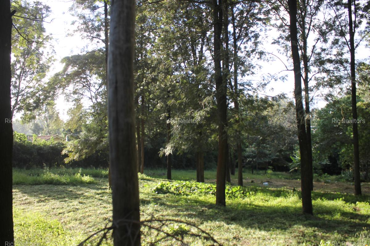 0.6 ha Land at Magadi Road - 6
