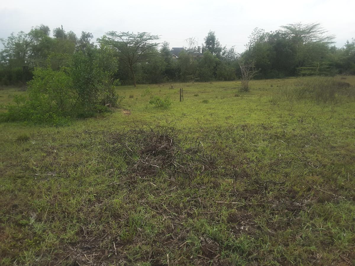 0.5 ac Residential Land in Karen - 3