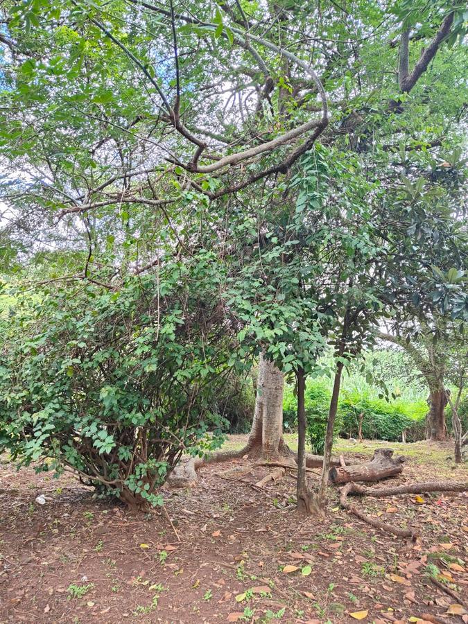 2 ac Land at Lantana Road - 12