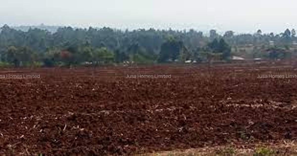 Land in Syokimau - 1