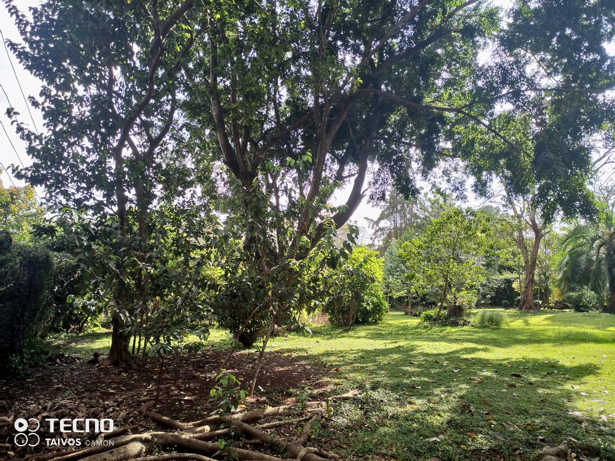 0.5 ac Residential Land at Runda Ridge - 1