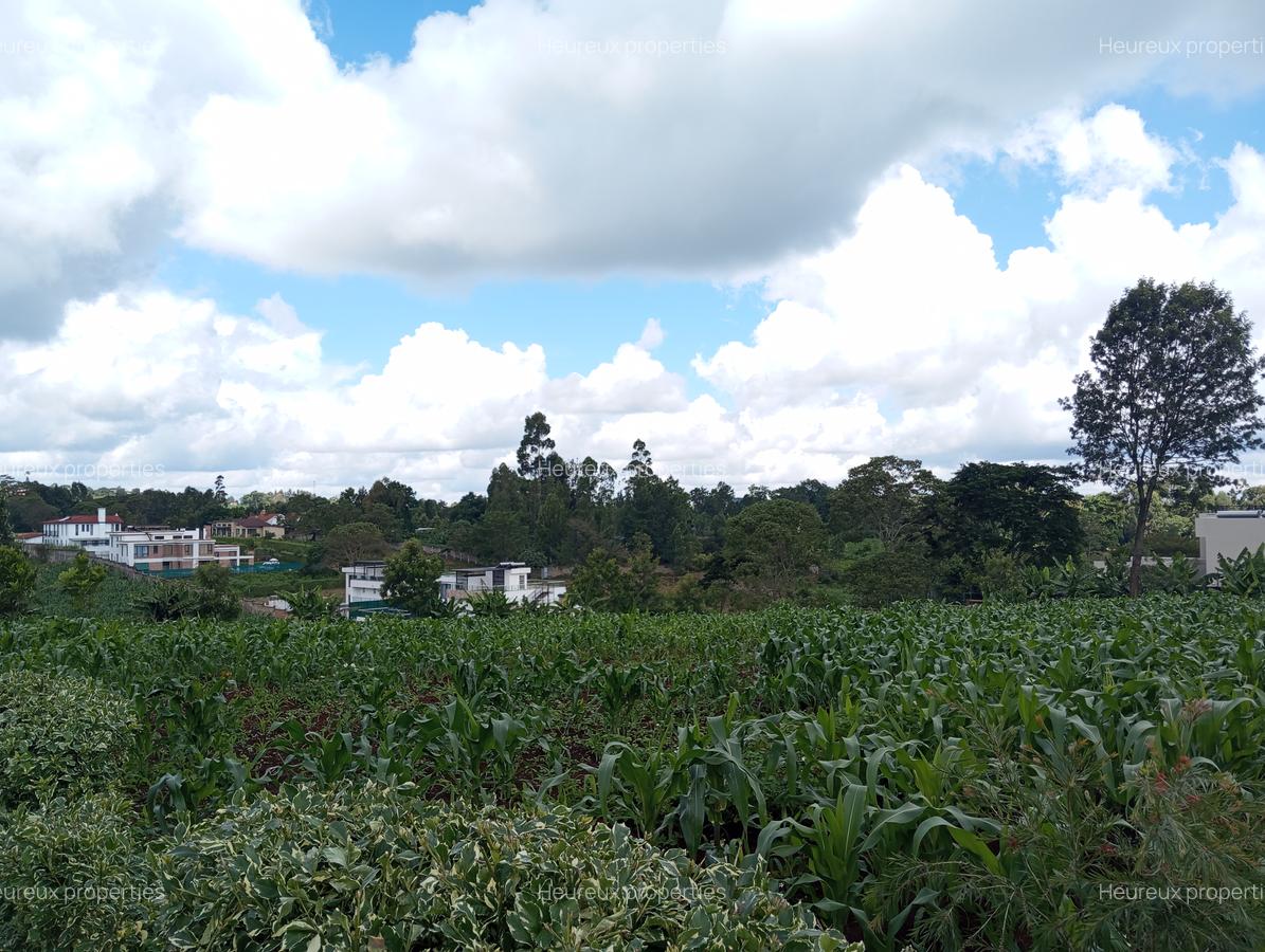 Residential Land at Tigoni - 3