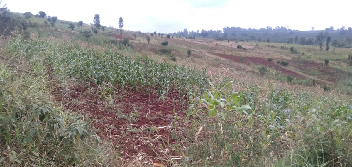 64,000 ft² Land at Kiambu Riabai - 1