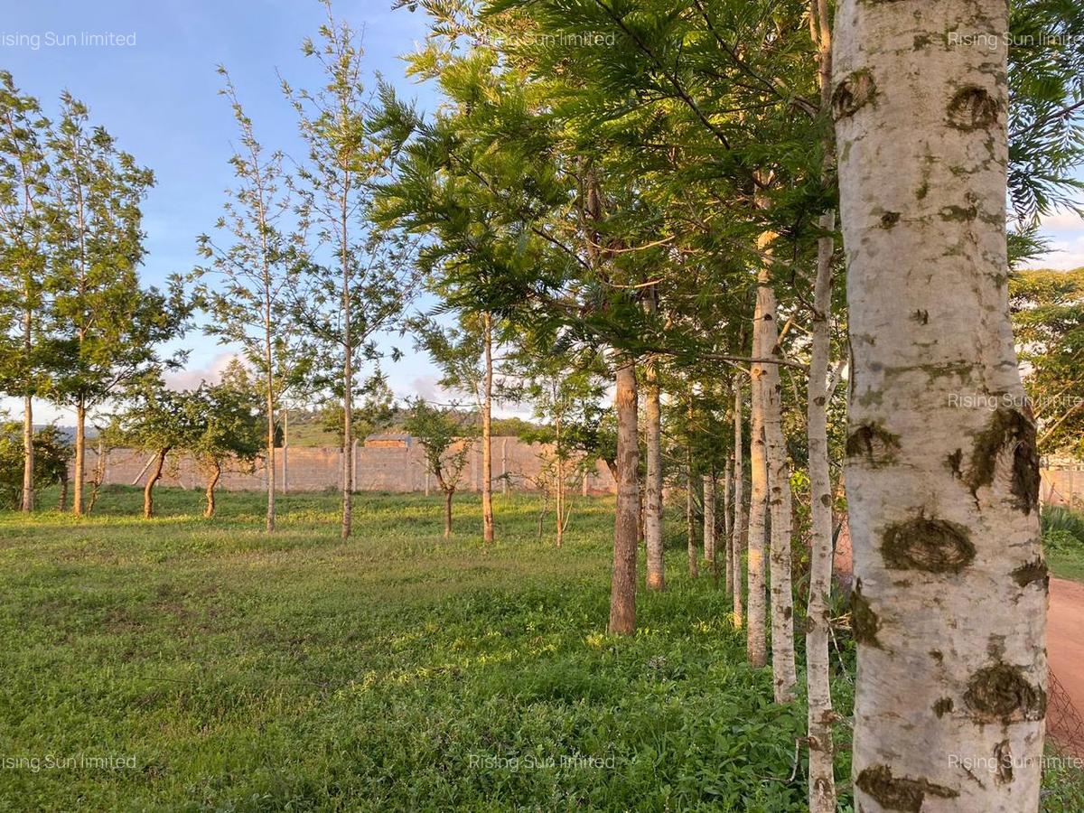 Land at Mua Hills - 8