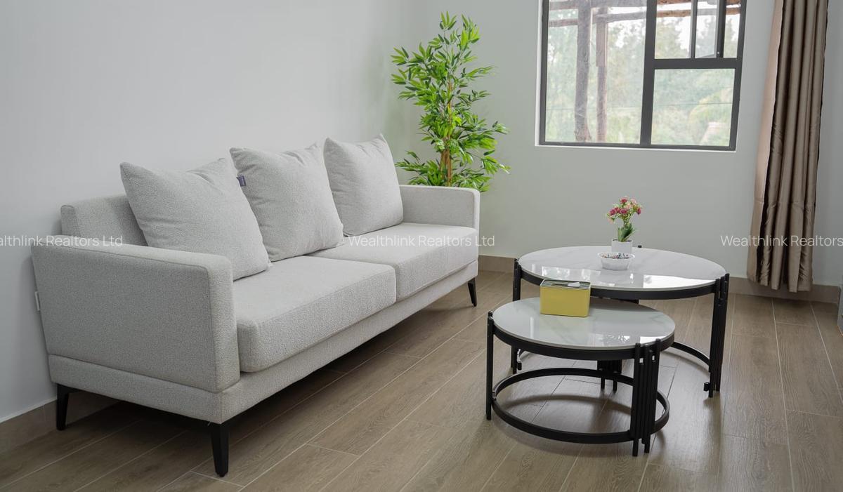 Furnished 1 Bed Apartment with Gym in Juja - 3