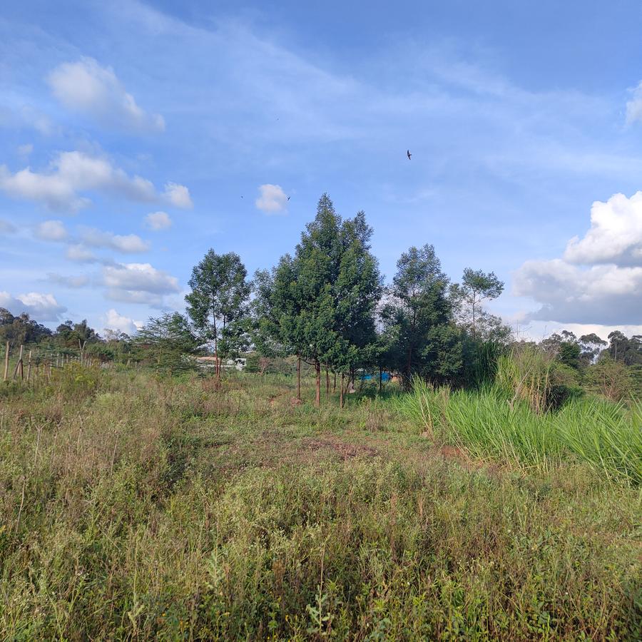 Commercial Land at Daggorett Road - 17