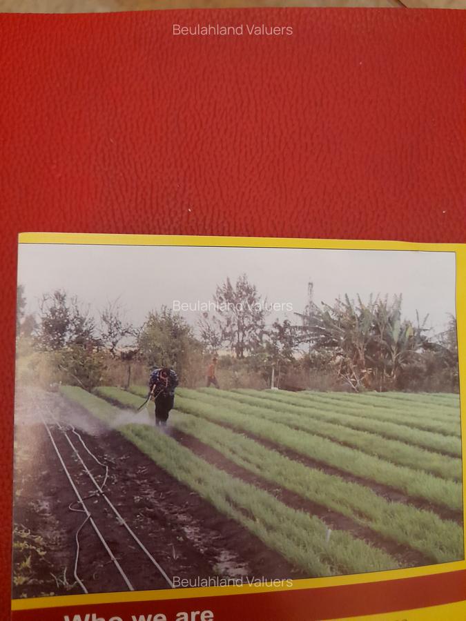 0.125 ac Land in Kisaju - 1