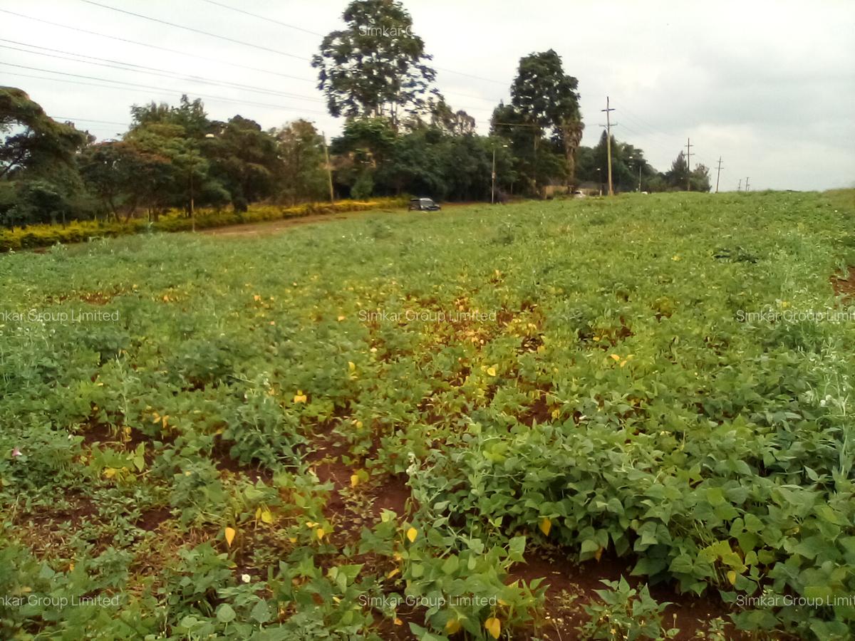 Commercial Property at Red Hill Rd - 6