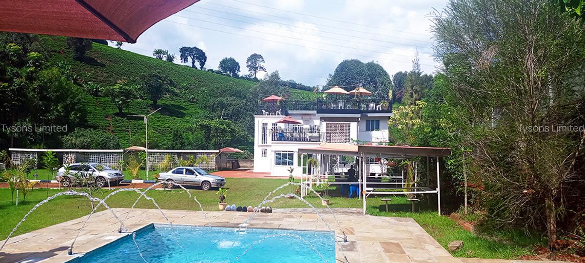 Commercial Property with Garden in Redhill - 1