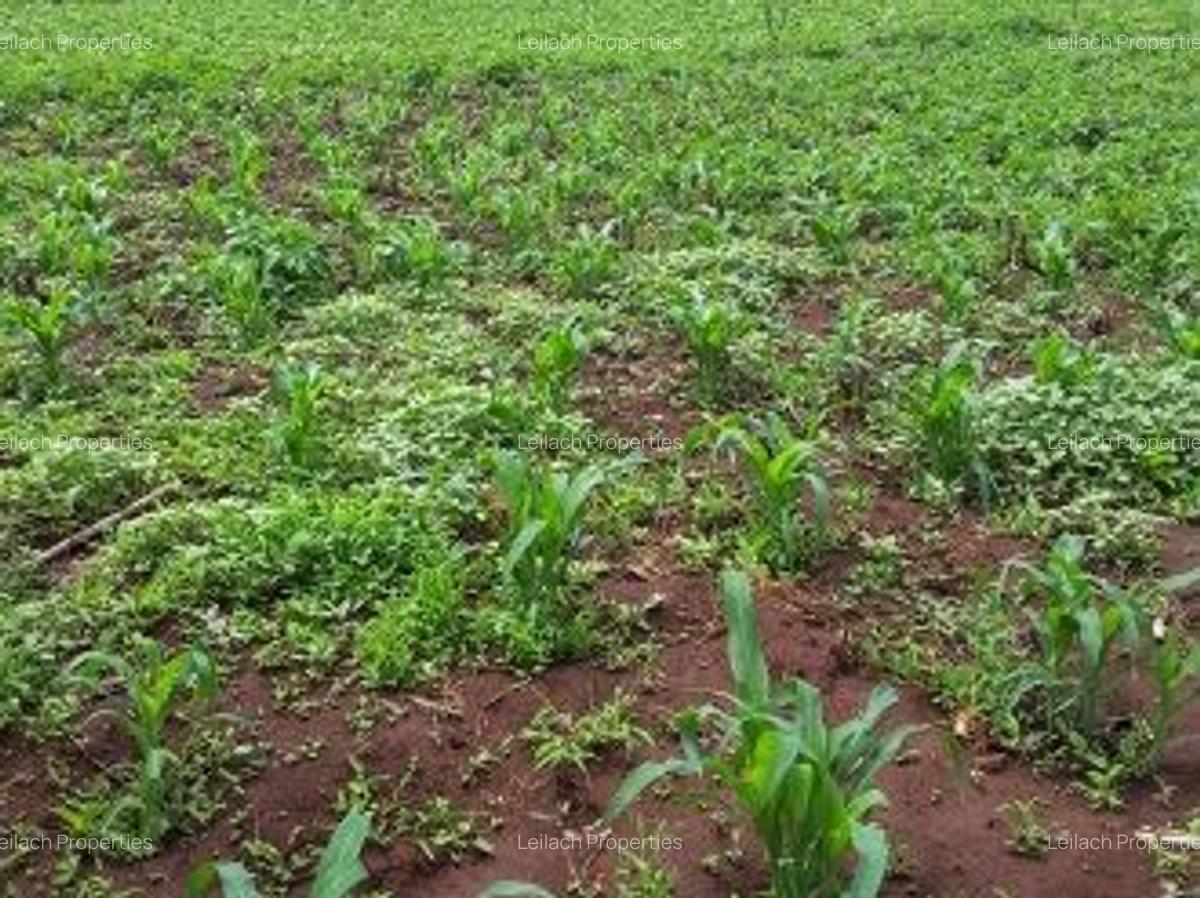 0.113 ac Land in Ngong - 4