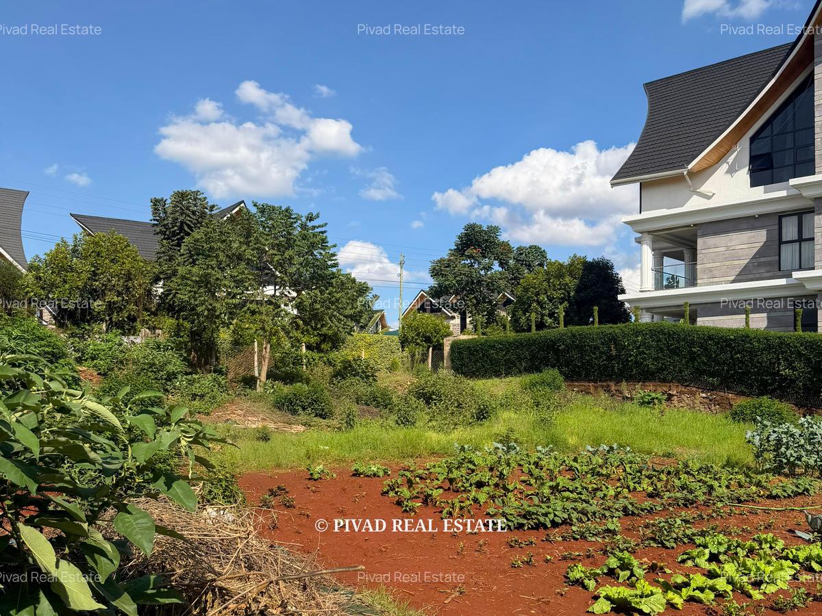 0.25 ac Land at Daykio Bustani - 4