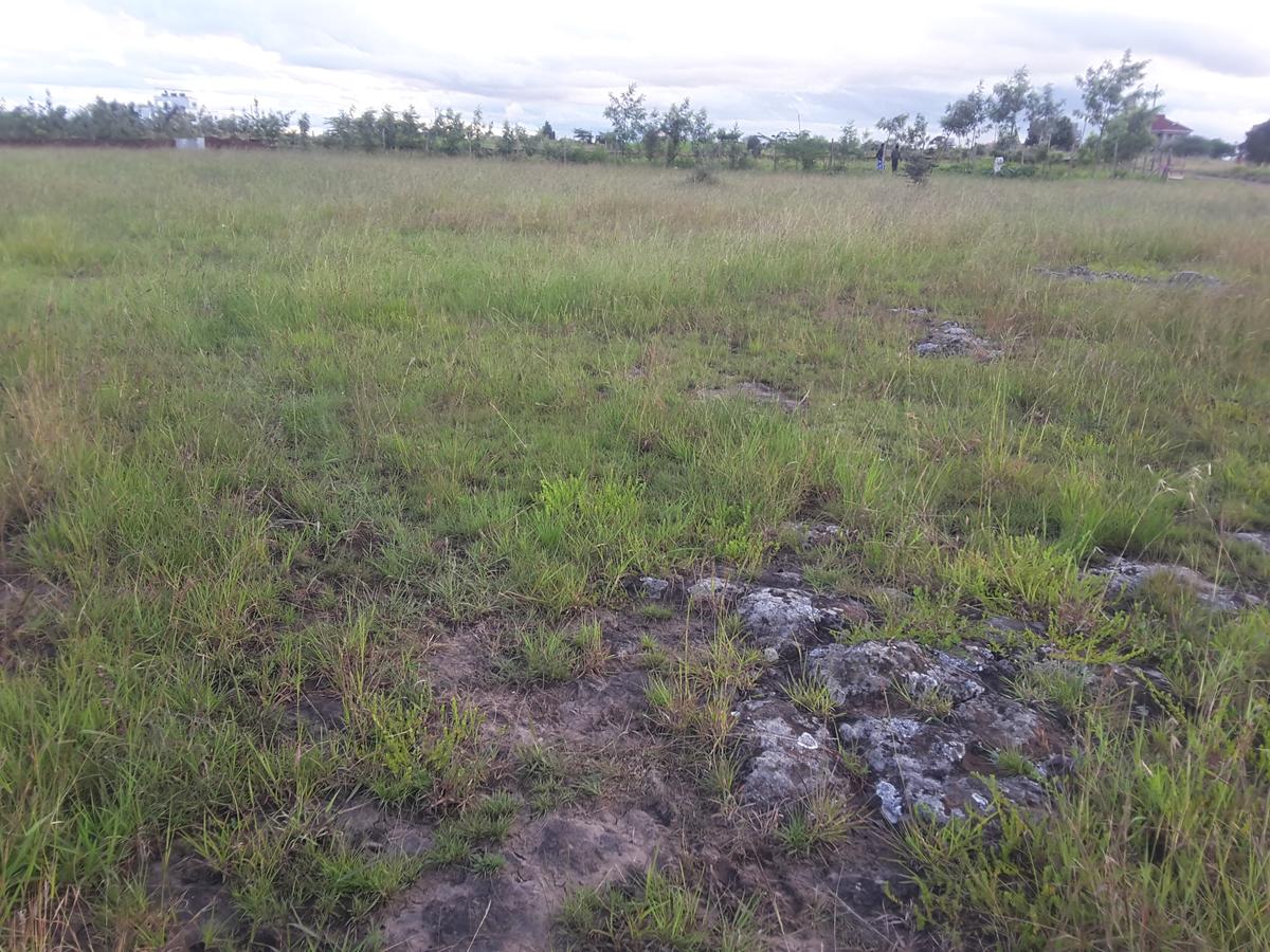 0.25 ac Land in Ongata Rongai - 3