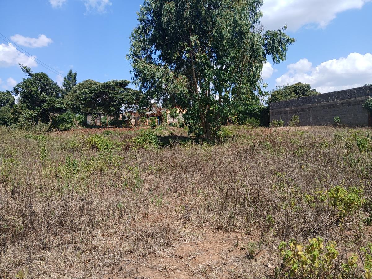 Commercial Land at Lusingetti - 8