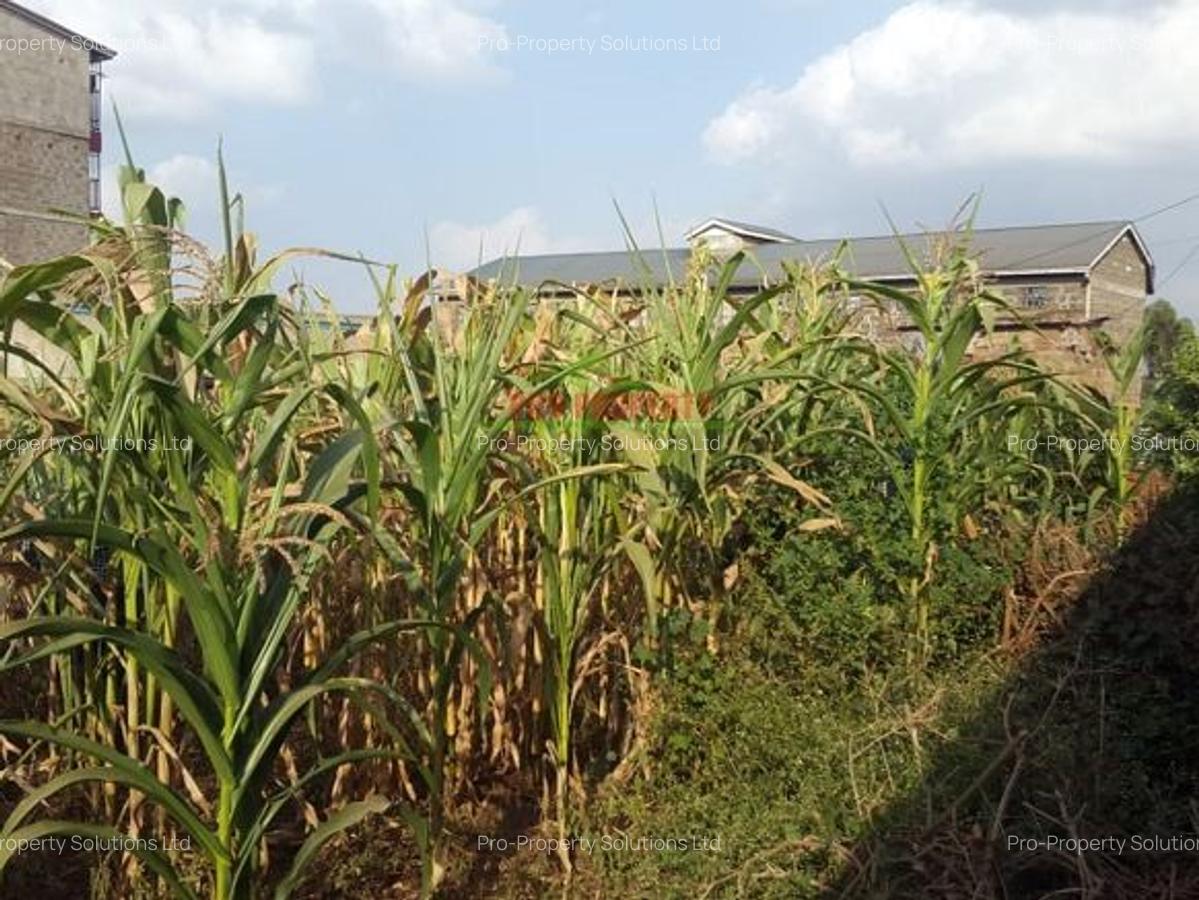 500 m² Commercial Land in Kikuyu Town - 3