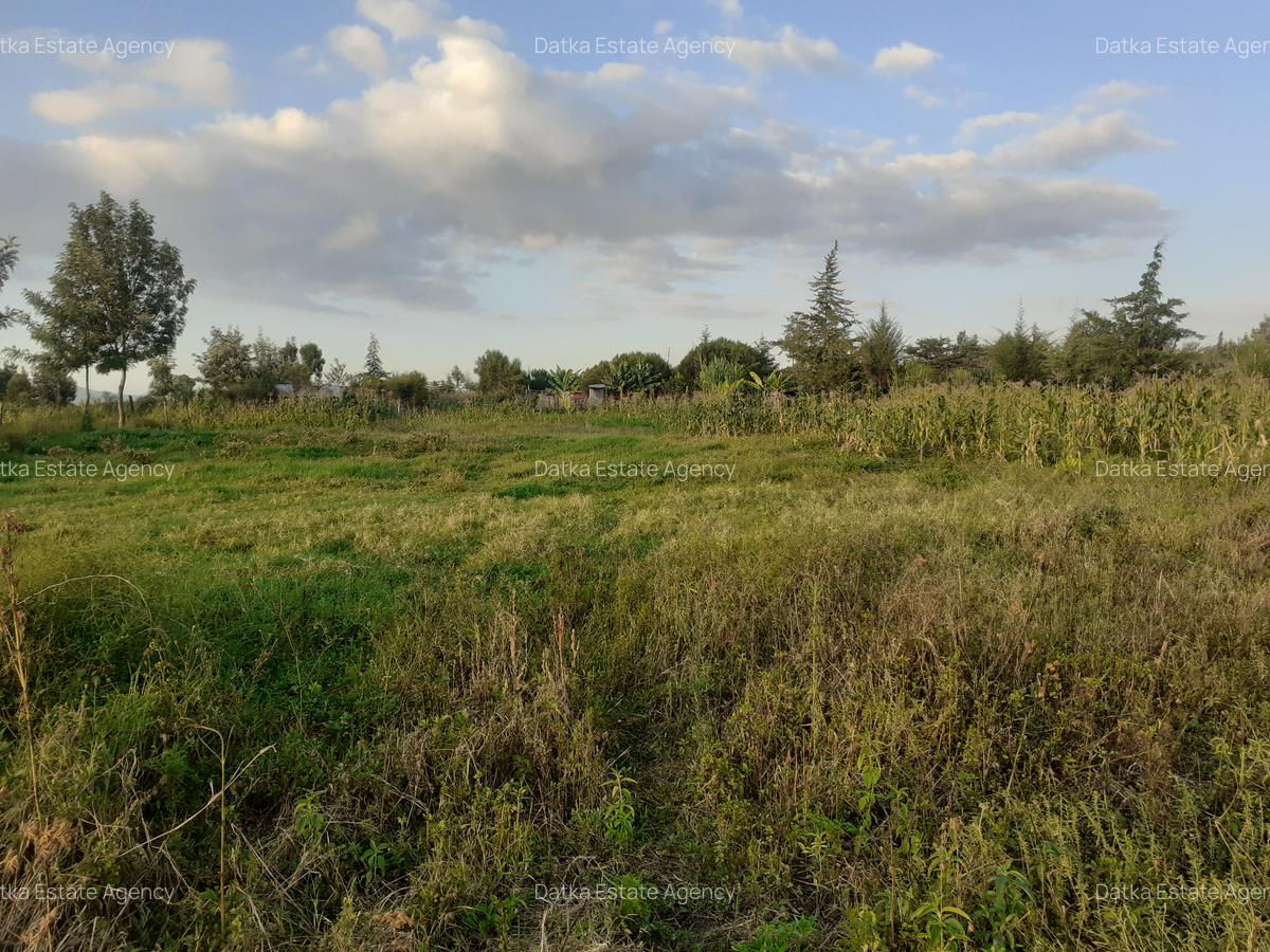 0.5 ac Residential Land in Nanyuki - 1
