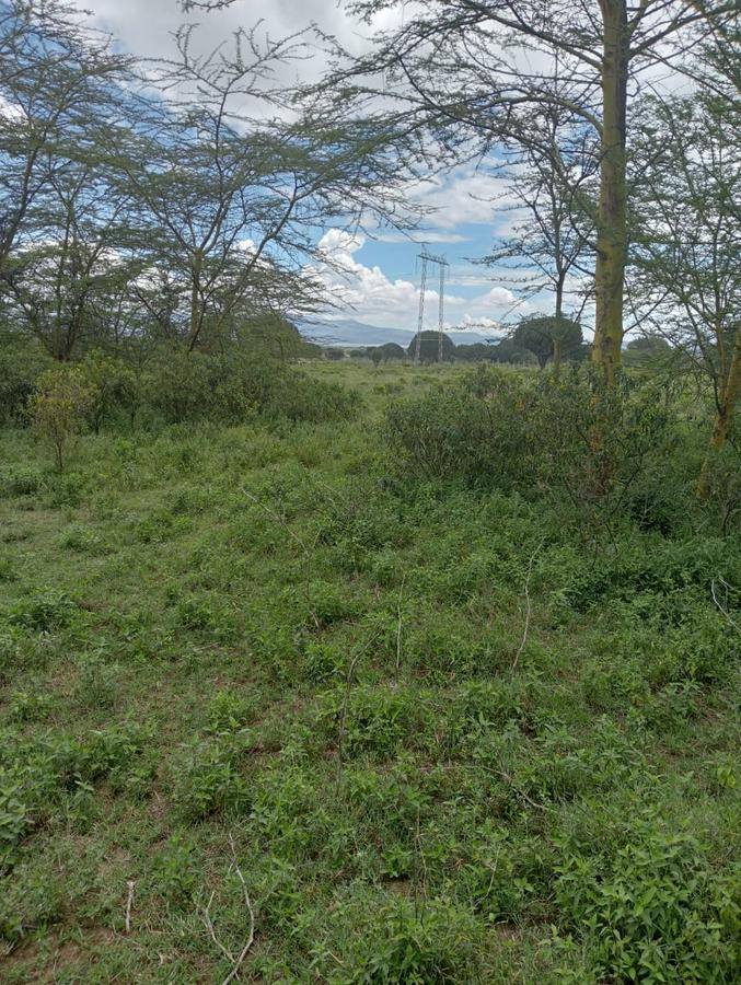 0.25 ac Commercial Land at Lake View - 6