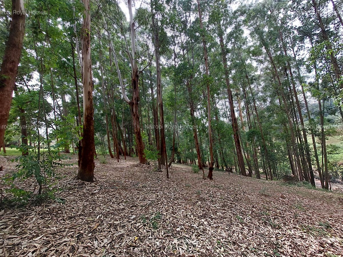 Residential Land at Rosslyn Redhill Road - 14